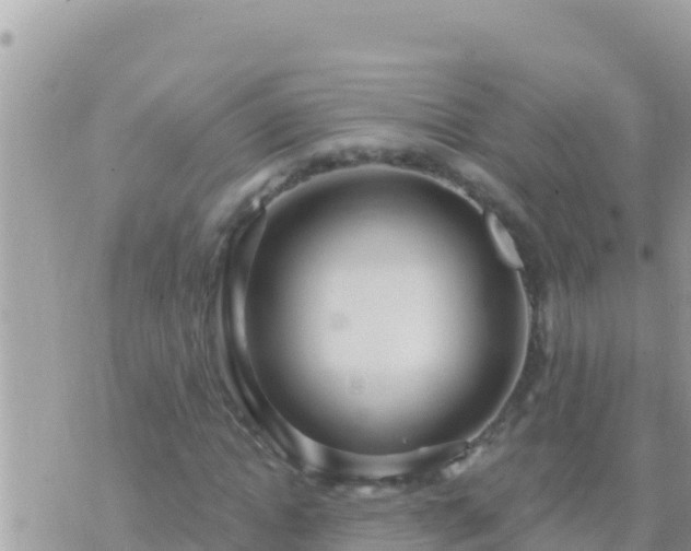 X0000073760822200608102043