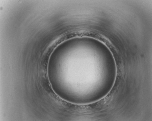 X0000073760823200608102043