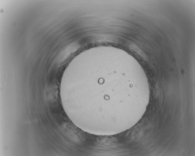 X0000073760824200608102043