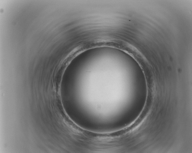 X0000073760825200608102043