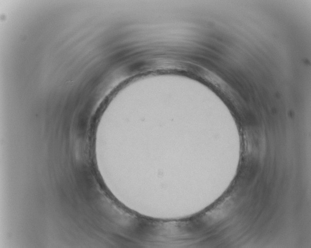 X0000073760828200608102043