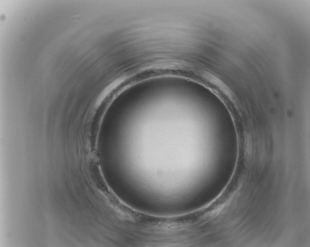 X0000073760829200608102043