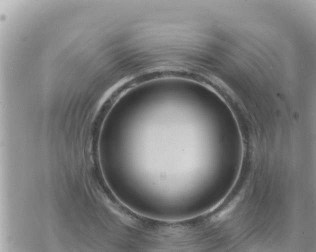 X0000073760830200608102043