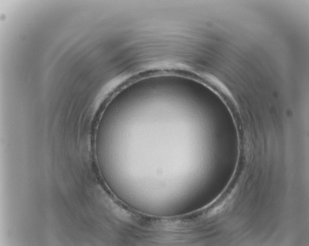 X0000073760831200608102043