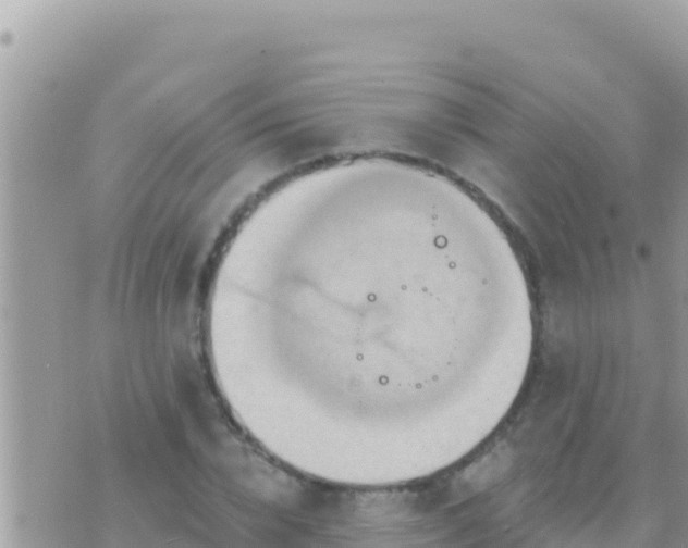 X0000073760832200608102043