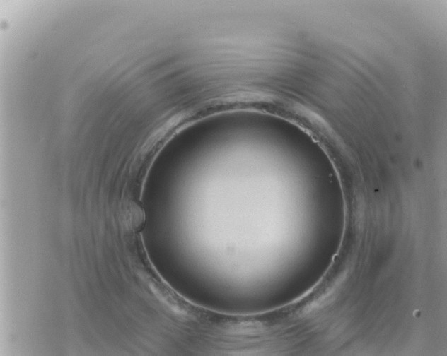 X0000073760833200608102043