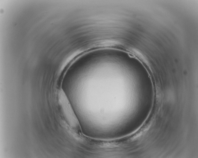 X0000073760835200608102043