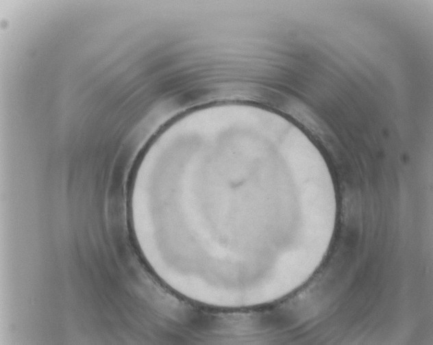 X0000073760836200608102043