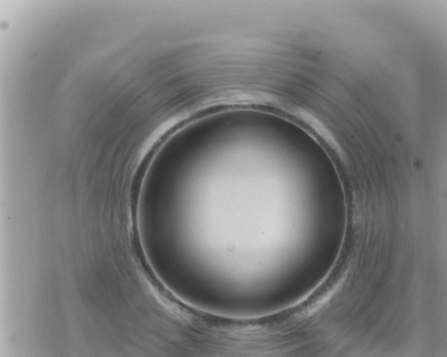 X0000073760837200608102043