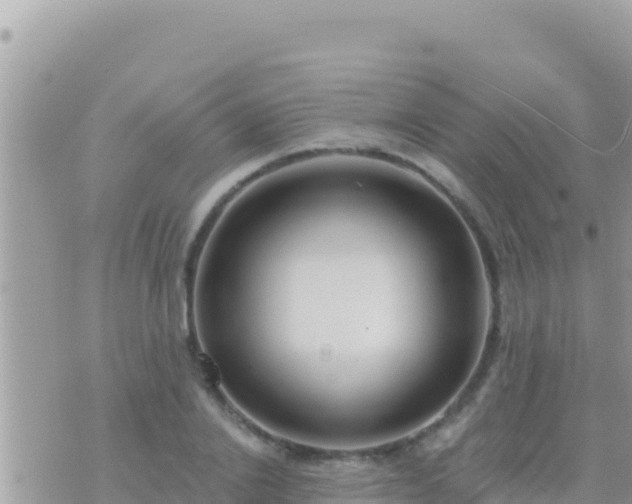 X0000073760838200608102043