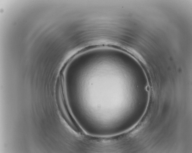 X0000073760839200608102043