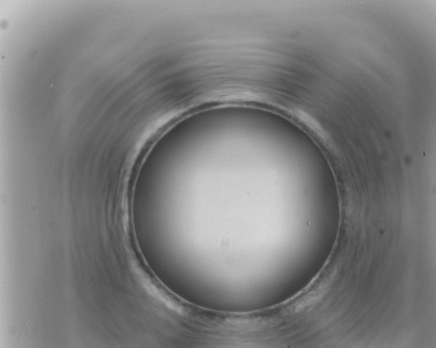 X0000073760840200608102043