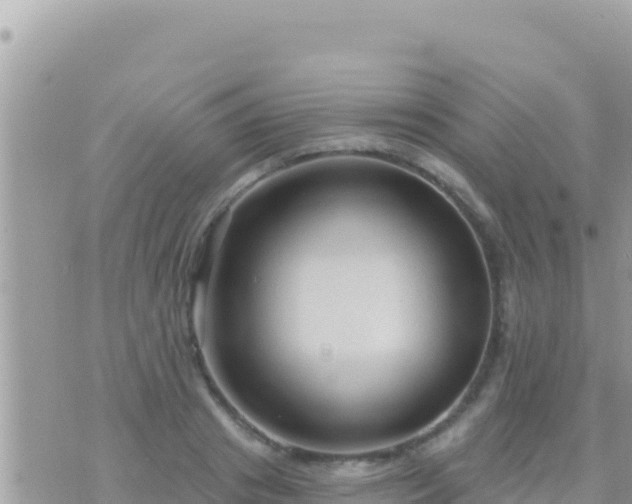 X0000073760841200608102043