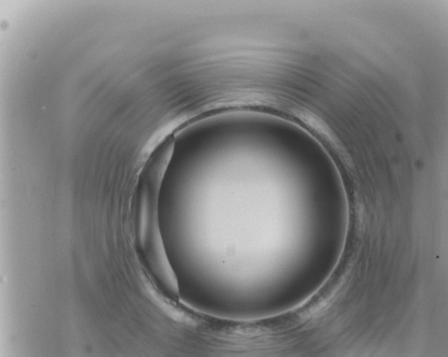 X0000073760842200608102043