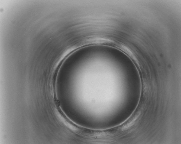 X0000073760843200608102043