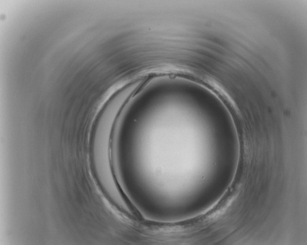 X0000073760845200608102044