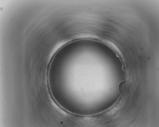 X0000073760847200608102044