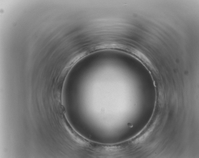 X0000073760849200608102044