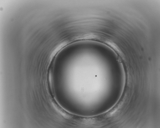 X0000073760850200608102044