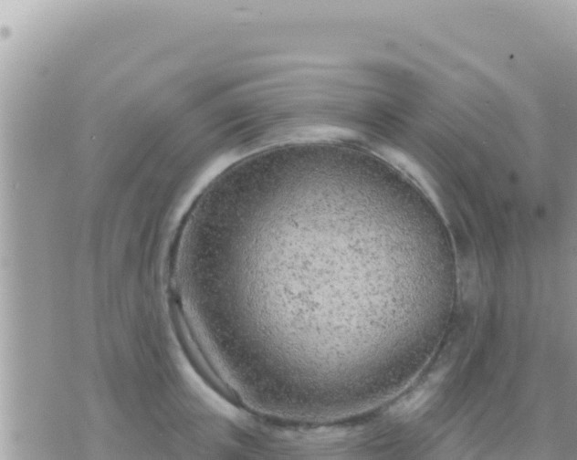 X0000073760851200608102044