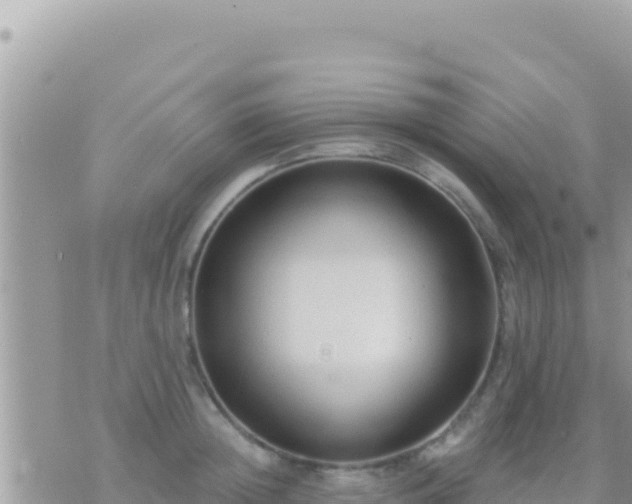 X0000073760852200608102044