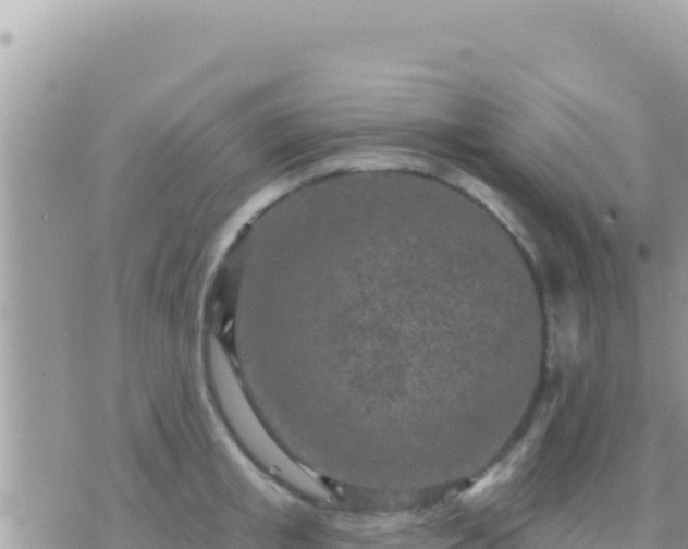 X0000073760853200608102044