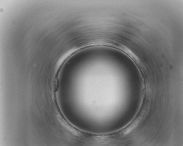 X0000073760854200608102044