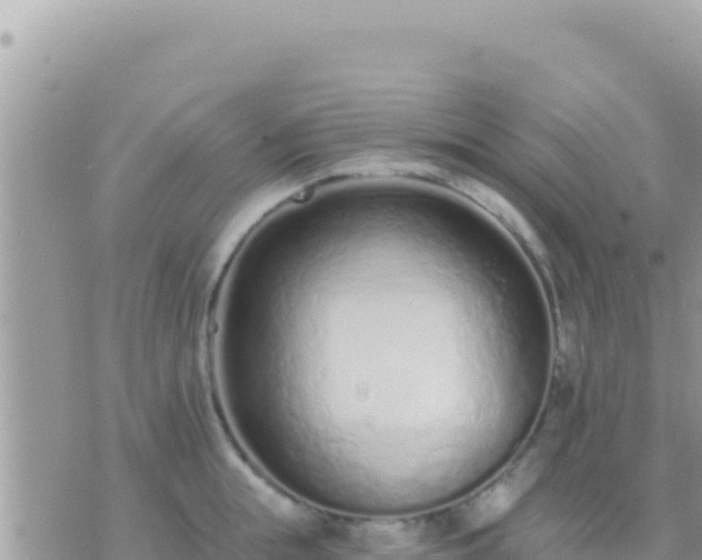 X0000073760855200608102044