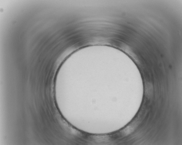 X0000073760856200608102044