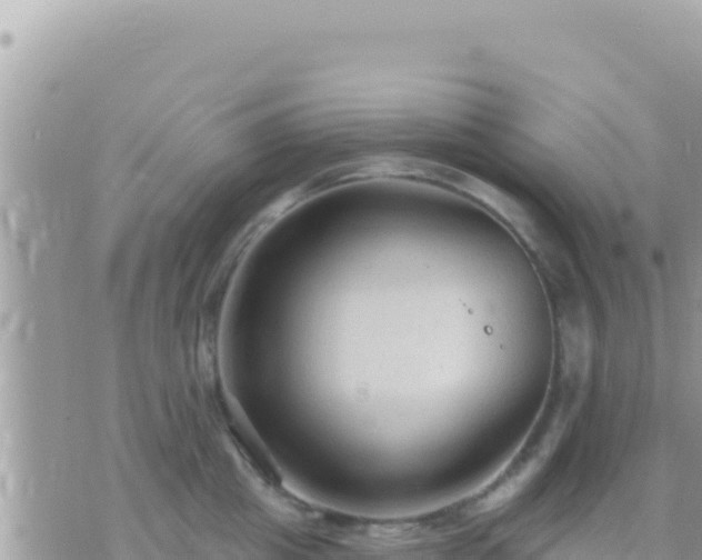 X0000073760857200608102044