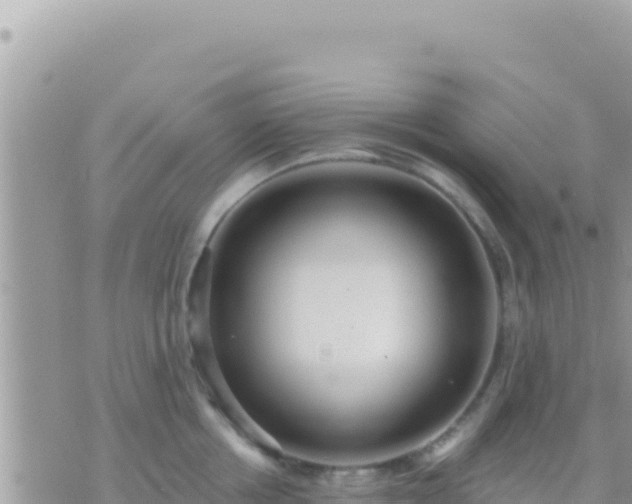 X0000073760858200608102044