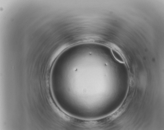 X0000073760859200608102044