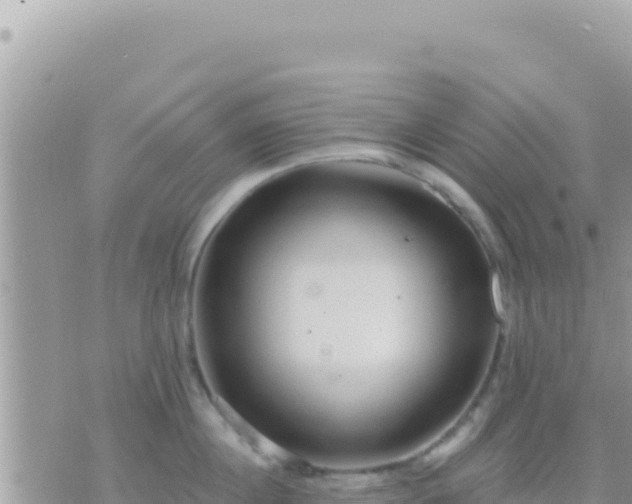 X0000073760860200608102044