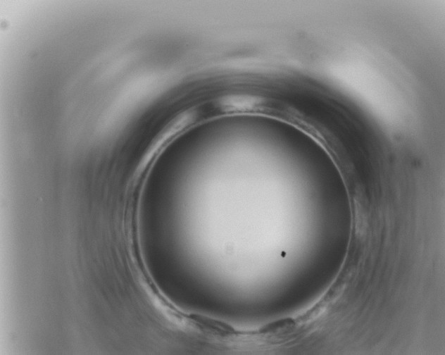 X0000073760861200608102044