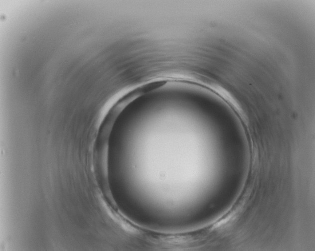 X0000073760862200608102044