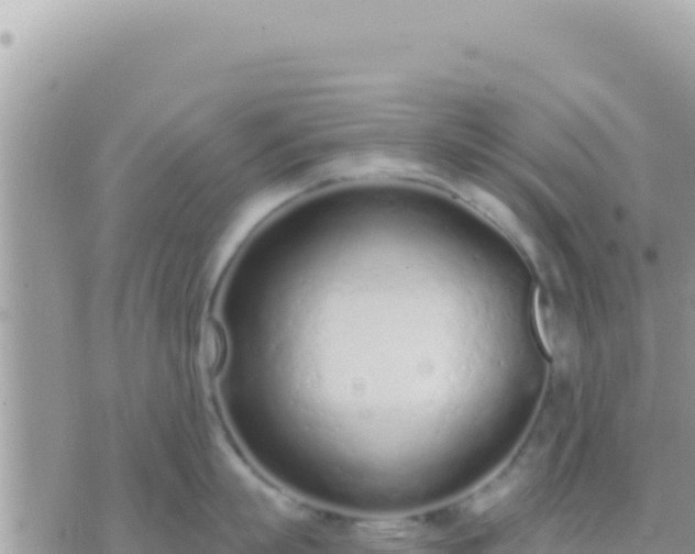 X0000073760863200608102044