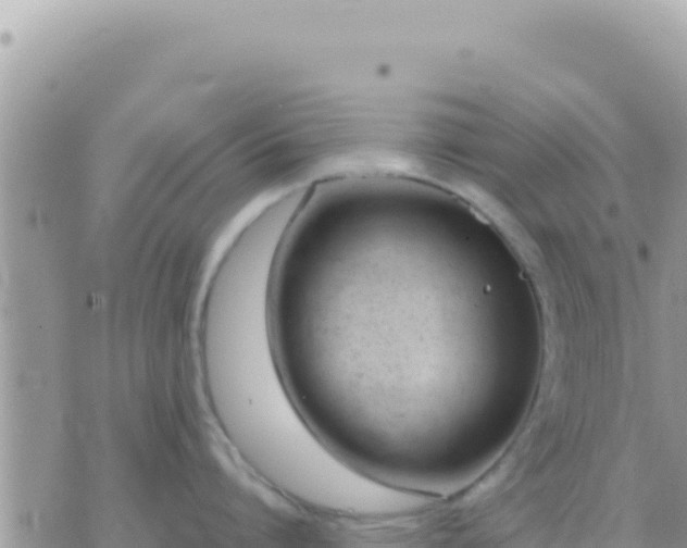 X0000073760864200608102044