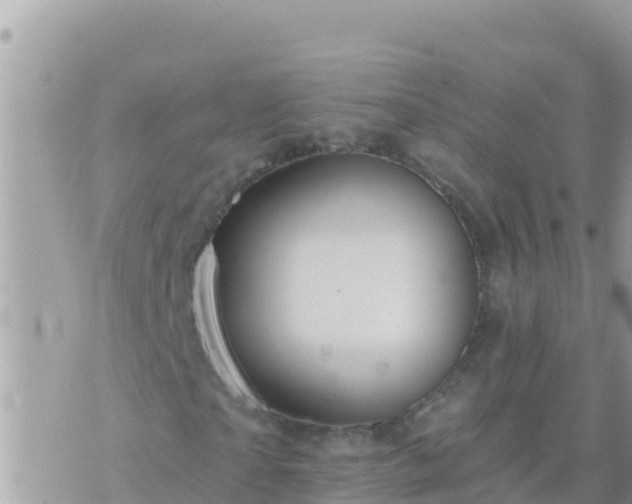 X0000073760865200608102043