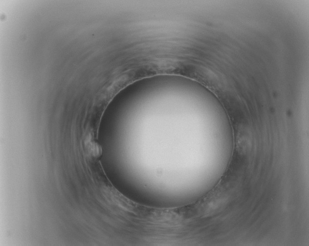 X0000073760866200608102043