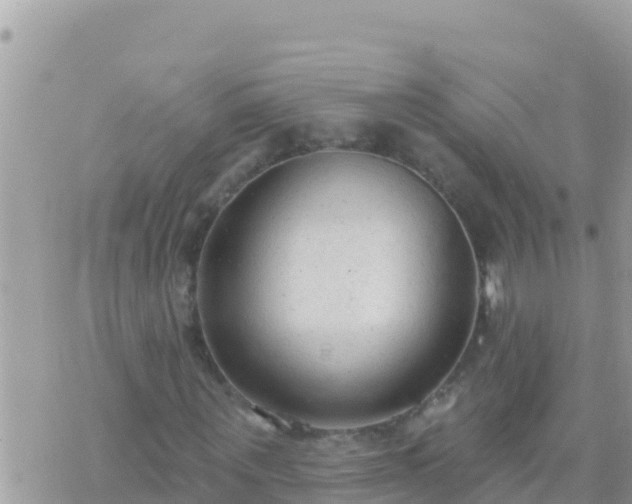 X0000073760867200608102043