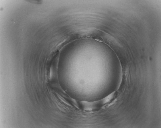 X0000073760868200608102043