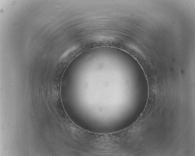 X0000073760869200608102043