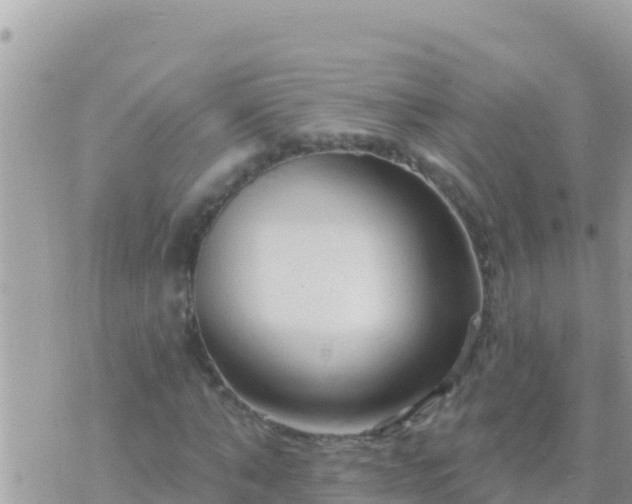 X0000073760870200608102043