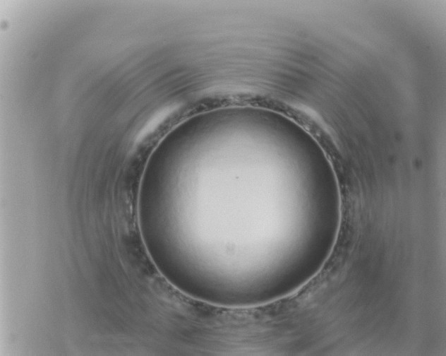 X0000073760871200608102043