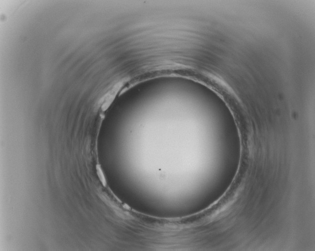 X0000073760873200608102043