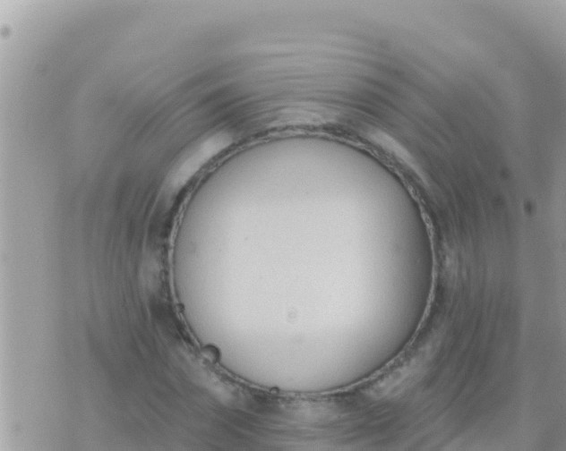 X0000073760874200608102043