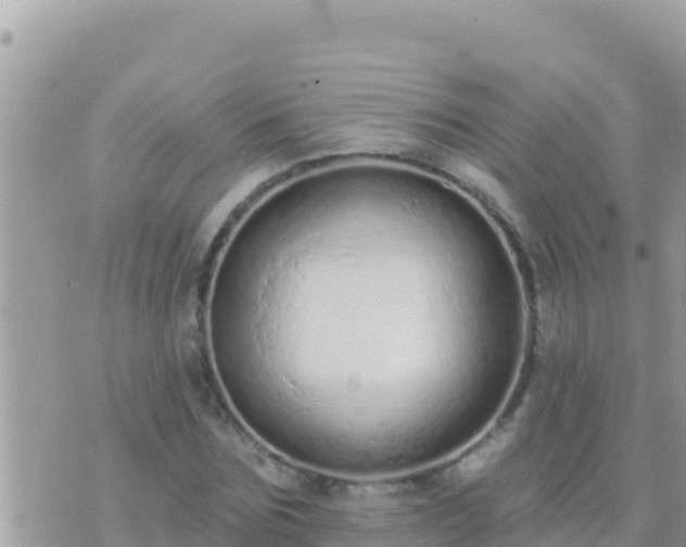 X0000073760875200608102043