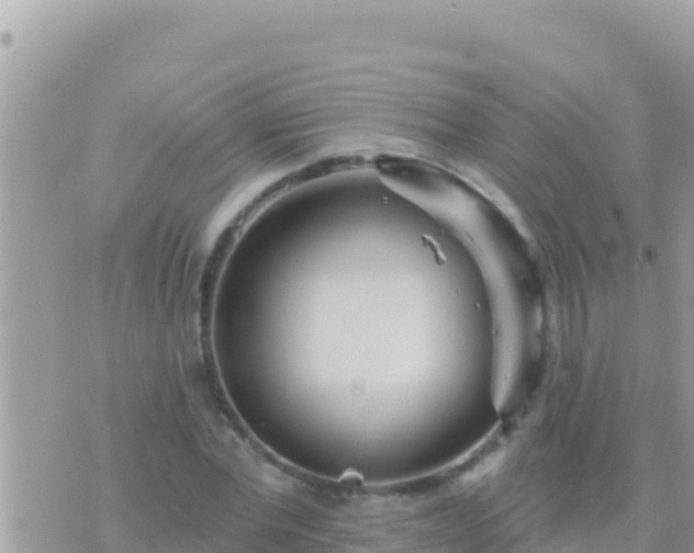 X0000073760877200608102043