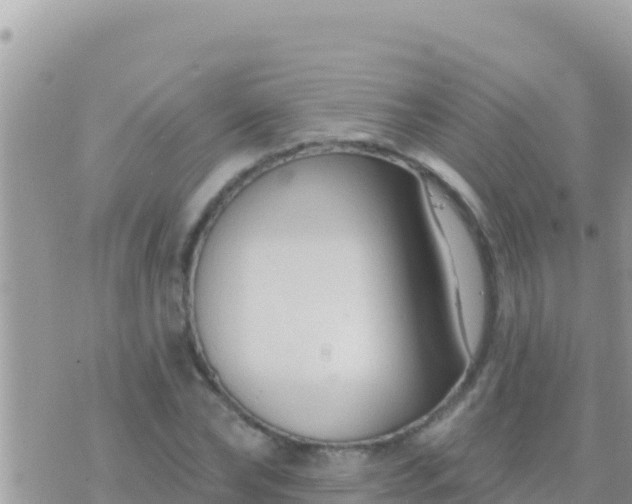 X0000073760878200608102043