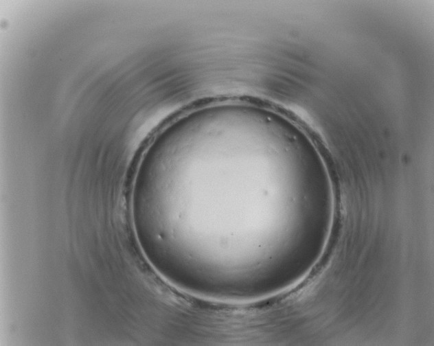 X0000073760879200608102043